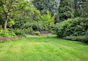 Optimiser l'expérience du jardin à Nogent-le-Bernard